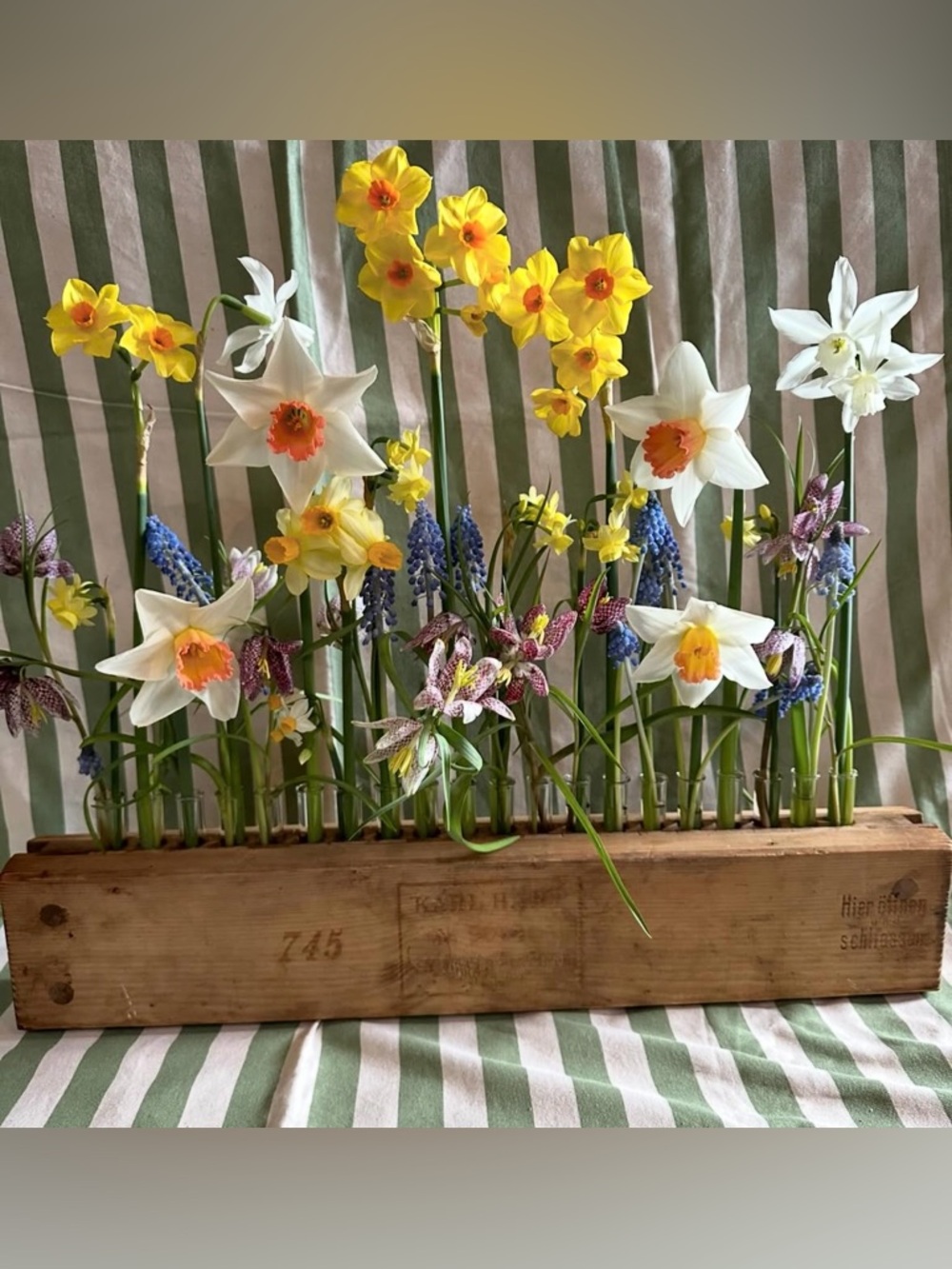Antique Vintage Cigar Box Single Flower Vase